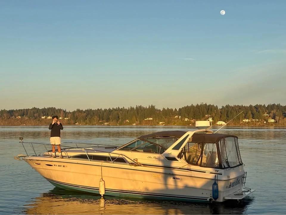 1987 Searay sundancer 340 340 Sundancer