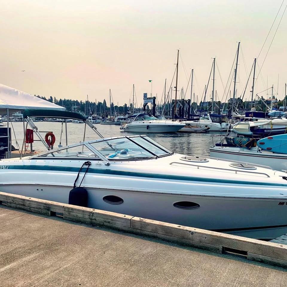 1998 Cobalt 293 293 Cuddy Cabin