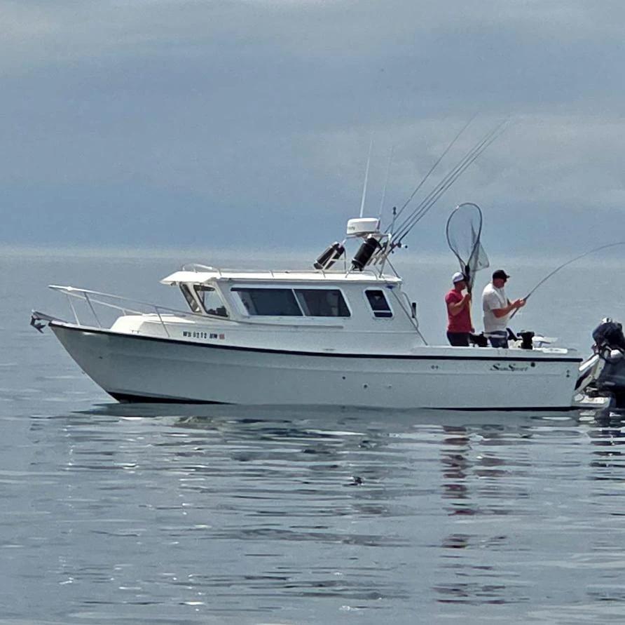 2008 2008 Sea Sport 2600 kodiak 2600 Kodiak