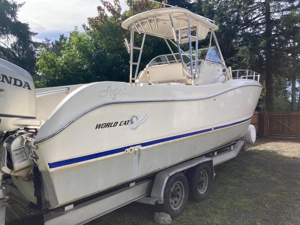 1999 World Cat 266sc