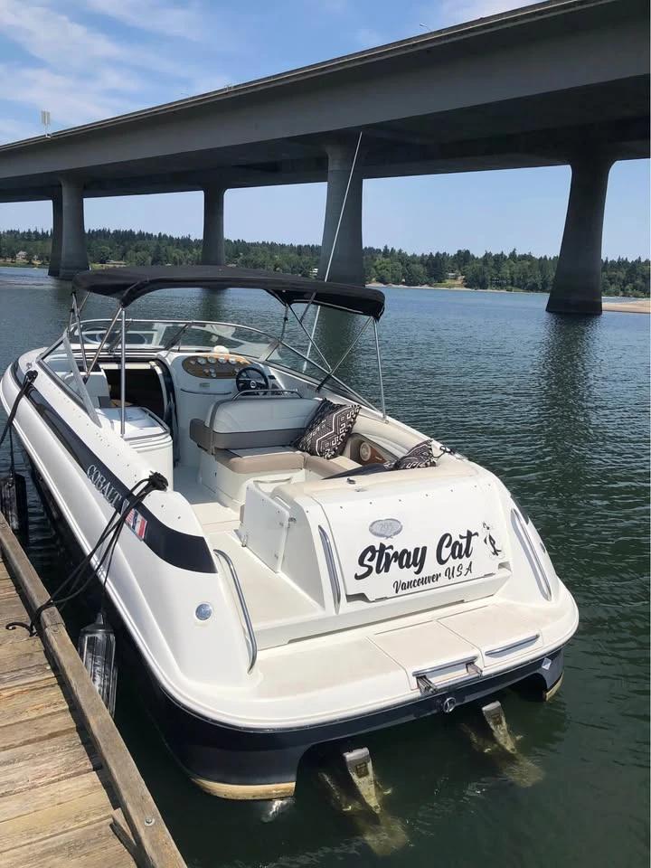2001 Cobalt 293 Beautiful Ebony 293